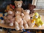 Leuke verzameling beren, Verzamelen, Beren en Cherished Teddies, Ophalen of Verzenden, Zo goed als nieuw, Stoffen beer, Overige merken