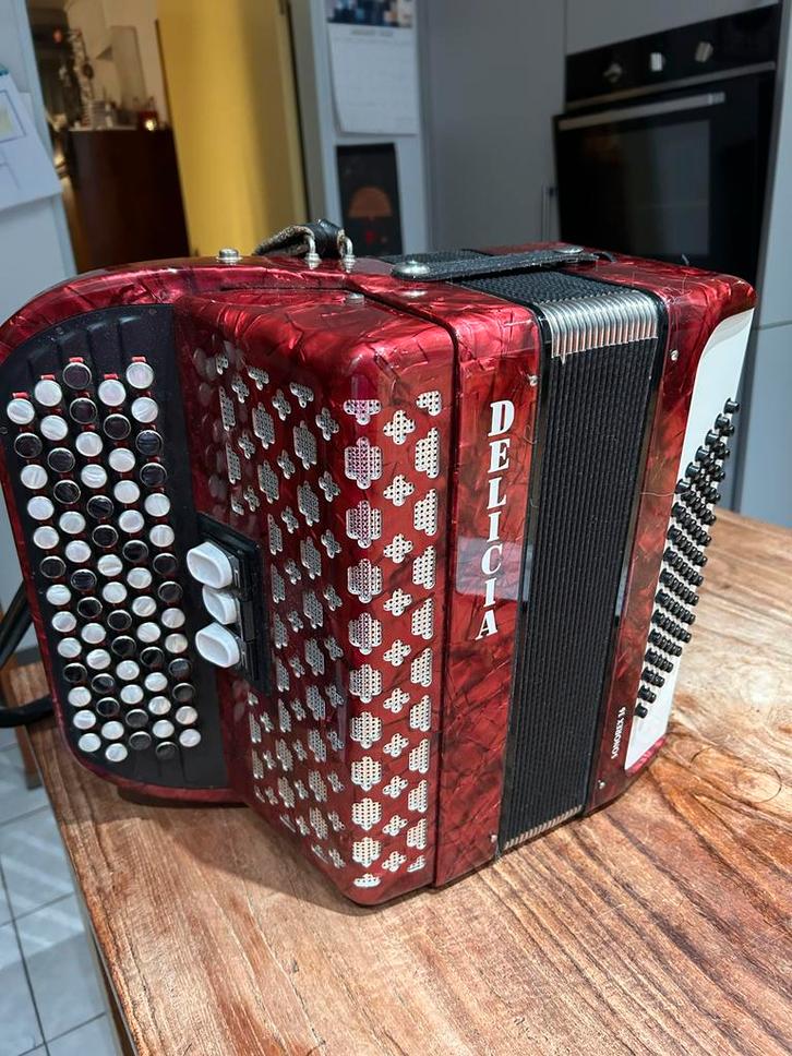 Delicia Knopaccordeon - Ideaal voor Studenten, Muziek en Instrumenten, Accordeons, Gebruikt, Knopaccordeon, Overige formaten, Delicia