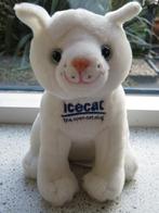 Witte kat of poes ICECAT the open catalog zacht velours, Ophalen of Verzenden, Zo goed als nieuw, Poes