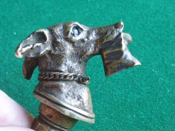 Weens brons Cachet hond met handschoen - Super! beschikbaar voor biedingen