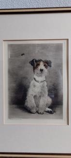 Antieke ets Kurt Meyer Eberhardt Hond met wesp, Ophalen of Verzenden