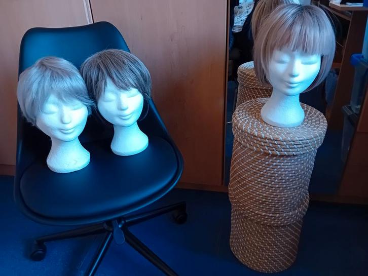 4 verschillende pruiken, Hobby en Vrije tijd, Kostuums, Theaterbenodigdheden en LARP, Nieuw, Ophalen of Verzenden