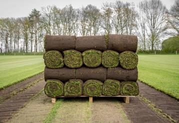 Graszoden!  beschikbaar voor biedingen