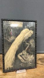 Adriaan van “t Hoff. Witte pauw. 29 x 42,5 cm., Antiek en Kunst, Ophalen of Verzenden