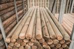 Boompalen | Weidepalen | Rondhout, Ophalen, Nieuw, 180 tot 250 cm, Palen
