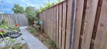Houten schutting (Douglas) met betonpalen en platen beschikbaar voor biedingen