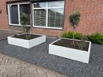 Plantenbakken, Tuin en Terras, Bloembakken en Plantenbakken, I, Minder dan 60 cm, Vierkant, Nieuw