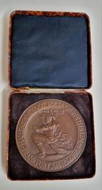 Originele S.A. penning in Originele cassette., Ophalen of Verzenden, Landmacht, Duitsland, Lintje, Medaille of Wings