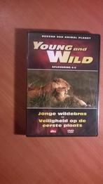 Dvd Young and Wild aflevering 4-5 (nieuw), Natuur, Alle leeftijden, Ophalen of Verzenden, Nieuw in verpakking
