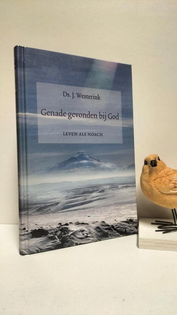 Westerink Ds. J.; Genade gevonden bij God (leven als Noach), Boeken, Godsdienst en Theologie, Gelezen, Christendom | Protestants