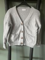 Grijs vestje S vesten lichtgrijs cardigan vest, Kleding | Dames, Truien en Vesten, Verzenden, Zo goed als nieuw, Maat 36 (S), Grijs