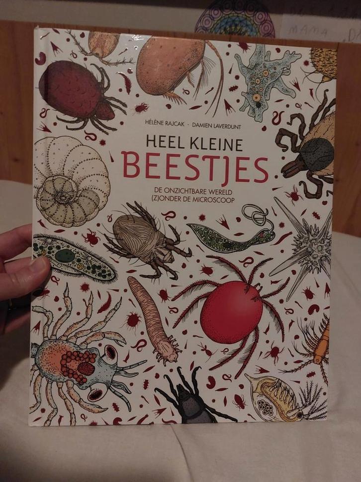 Hélène Rajcak - Heel kleine beestjes, Boeken, Kinderboeken | Jeugd | onder 10 jaar, Zo goed als nieuw, Non-fictie, Ophalen of Verzenden
