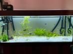 JUWEL Aquarium Rio + CO2 + External filter, Zo goed als nieuw, Ophalen, Leeg aquarium