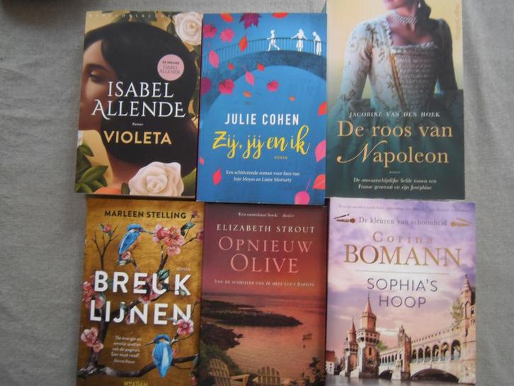 verschillende romans, Boeken, Romans, Gelezen, Nederland, Ophalen of Verzenden