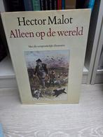 Hector Malot - Alleen op de wereld - illustraties, Boeken, Ophalen of Verzenden, Gelezen
