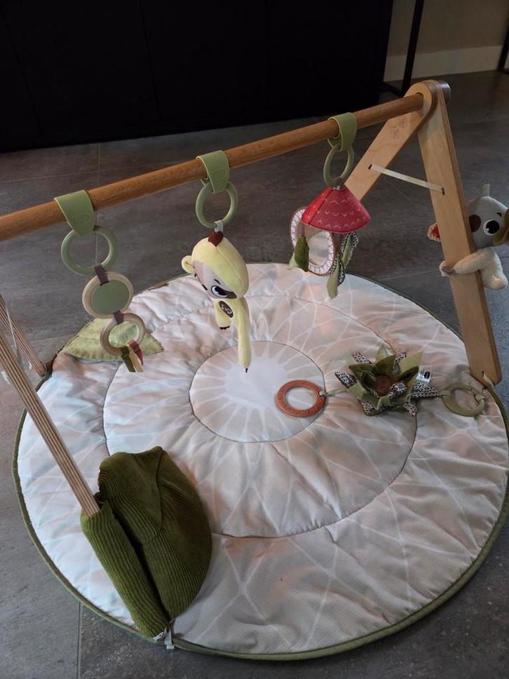 Tiny Love Boho Chic Babygym + mijlpaalkaarten, Kinderen en Baby's, Speelgoed | Babyspeelgoed, Gebruikt, Babygym, Met geluid, Ophalen