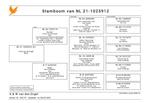 Postduif fond/ overnacht, duivin, Dieren en Toebehoren, Vogels | Duiven, Vrouwelijk, Postduif