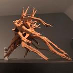 Uniek stuk Kienhout / Driftwood / Spiderwood, Hout Decoratie, Ophalen of Verzenden, Plant(en), Steen of Hout