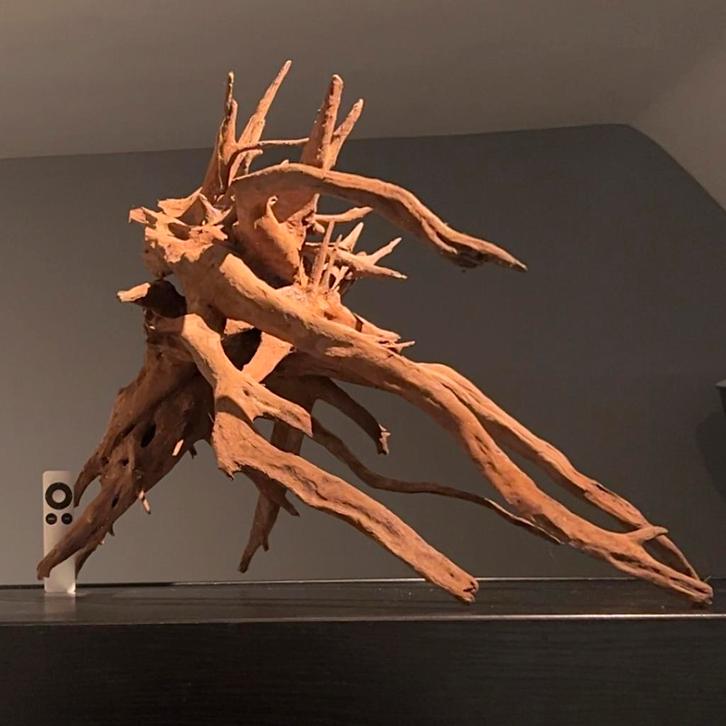 Uniek stuk Kienhout / Driftwood / Spiderwood, Hout Decoratie, Dieren en Toebehoren, Vissen | Aquaria en Toebehoren, Plant(en), Steen of Hout