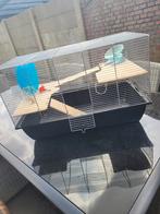 Hamsterkooien, Ophalen, Zo goed als nieuw, Kooi, Minder dan 60 cm