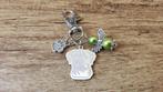 (Sleutel)Hanger Bullmastiff RVS met beschermengeltje, Hobby en Vrije tijd, Kralen en Sieraden maken, Verzenden, Nieuw, Hanger