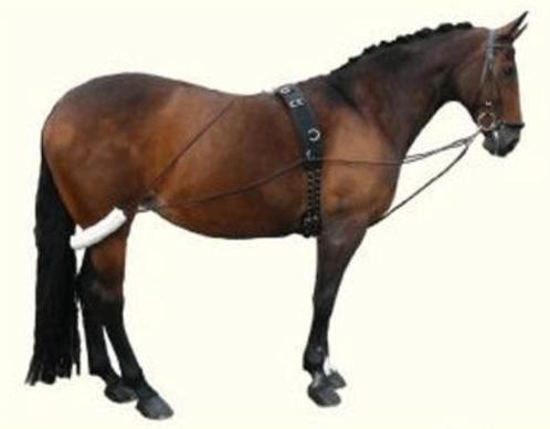 Pessoa full als nieuw, Dieren en Toebehoren, Paarden en Pony's | Hoofdstellen en Tuigage, Zo goed als nieuw, Ophalen of Verzenden