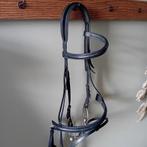 Hoofdstel voor pony / paard maat cob, Ophalen of Verzenden, Gebruikt