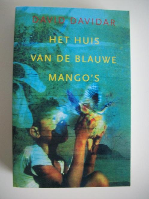 Het Huis met de Blauwe Mango's - David Davidar - heel netjes, Boeken, Romans, Zo goed als nieuw, Nederland, Ophalen of Verzenden