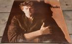 LP  Don Henley - Building the perfect beast, Ophalen of Verzenden, Zo goed als nieuw