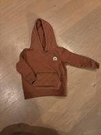 Hoodie, Kinderen en Baby's, Kinderkleding | Maat 92, Gebruikt, Trui of Vest, Ophalen of Verzenden, Jongen