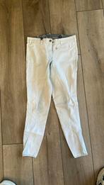 Pikeur wit Dames wedstrijd broek Maat 38, Dieren en Toebehoren, Gebruikt, Dressuur, Dames, Onderkleding