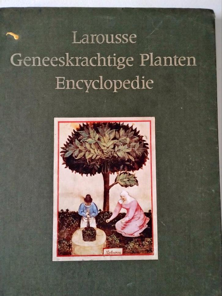 Larousse Geneeskrachtige Planten Encyclopedie, Boeken, Natuur, Gelezen, Bloemen, Planten en Bomen, Ophalen of Verzenden
