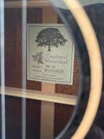 Tanglewood Winterleaf TW4 BS Gitaar + Tas & Standaard, Muziek en Instrumenten, Ophalen, Zo goed als nieuw, Western- of Steelstringgitaar