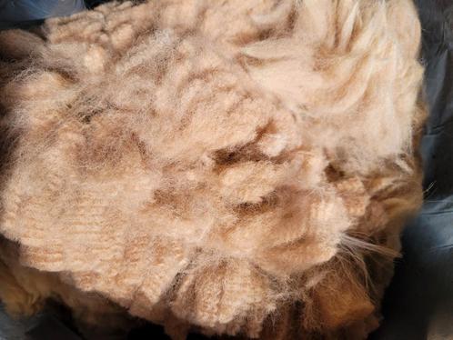 Alpaca vacht wol ruwe vachten, Hobby en Vrije tijd, Spinnewielen en Spinnen, Nieuw, Spinwol, Ophalen of Verzenden