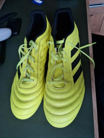 Adidas Cola Schoenen Maat 45 1/3 beschikbaar voor biedingen