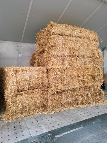 Grote pakken tarwe stro, tarwestro  beschikbaar voor biedingen