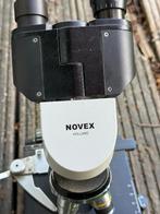 Novex compacte binoculaire microscoop uSmart 81.600, Ophalen of Verzenden, Zo goed als nieuw, Biologische microscoop