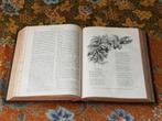 Sunday at home mooi antiek boek uit Engeland uit 1888., Ophalen of Verzenden