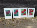 Vier Aquarellen met Papaver, Antiek en Kunst, Kunst | Schilderijen | Klassiek, Ophalen
