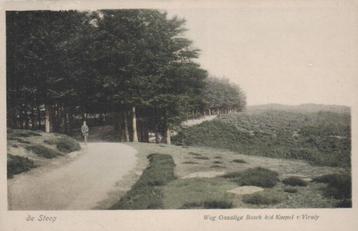 0168 De Steeg Weg Onzalige Bosch 1920 treinstempel  beschikbaar voor biedingen