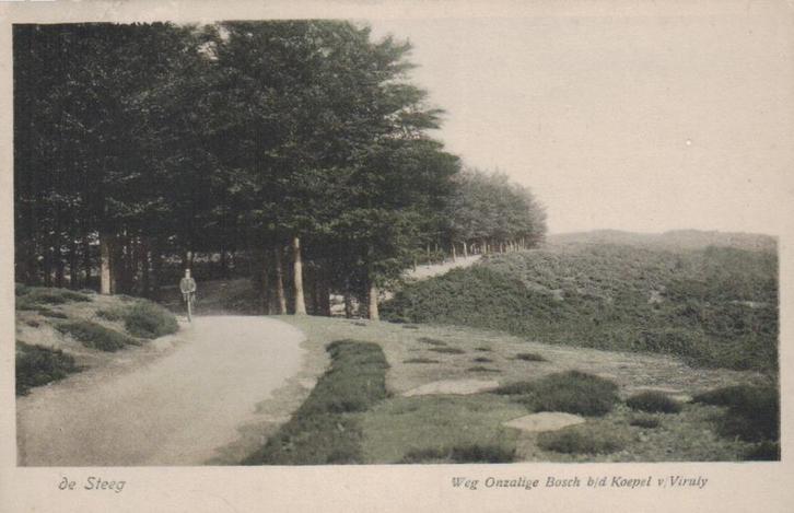 0168 De Steeg Weg Onzalige Bosch 1920 treinstempel, Verzamelen, Ansichtkaarten | Nederland, Gelopen, Gelderland, Voor 1920, Ophalen of Verzenden