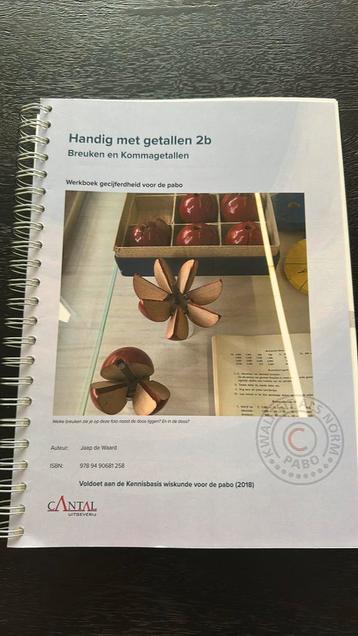Pabo boek -  werkboek handig met getallen 2b beschikbaar voor biedingen