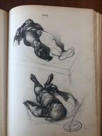 Kunstenaars-schetsboek / leerboek Hongaars, Ophalen, Zo goed als nieuw, Overige niveaus, Tekenen