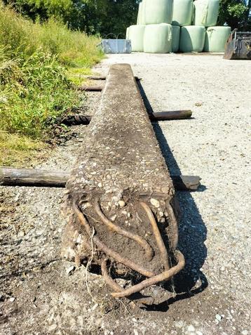Betonpalen  beschikbaar voor biedingen