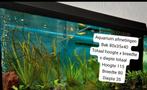 Juwel Aquarium met veel accessoires, Ophalen, Leeg aquarium