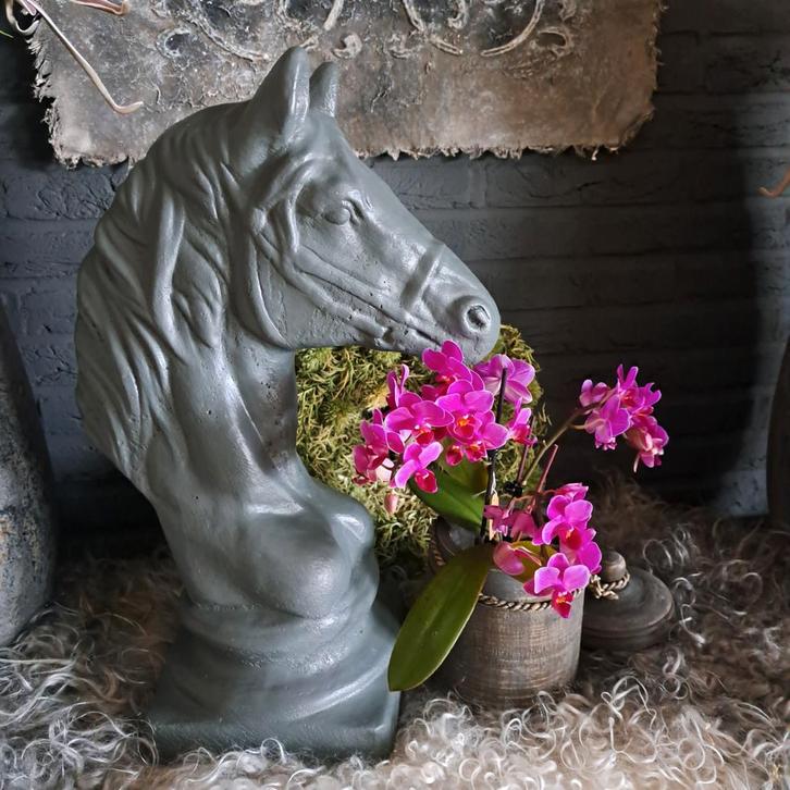 Betonnen paardenhoofd, Tuin en Terras, Tuinbeelden, Ophalen of Verzenden