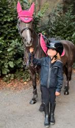 Bomproof b/c kinderpony met ervaring & A bixie pony, M, Springpony, B pony (1.17m tot 1.27m), 11 jaar of ouder