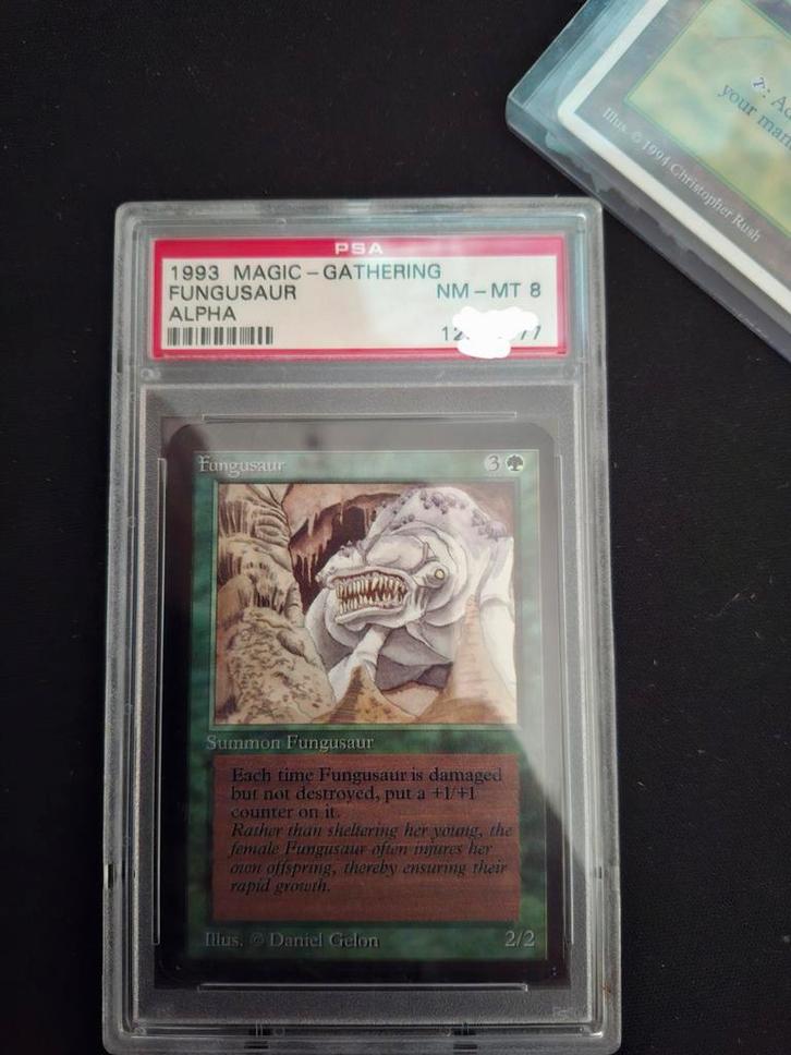 PSA 8 Alpha Fungusaur - Magic: The Gathering, Hobby en Vrije tijd, Verzamelkaartspellen | Magic the Gathering, Zo goed als nieuw