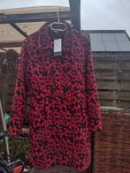 Schachtige Smashed Lemon Herfst winter Jas Maat XL - gevoerd, Smashed Lemon, Verzenden, Zo goed als nieuw, Maat 46/48 (XL) of groter