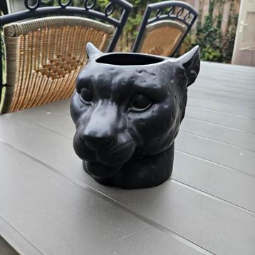 Panter bloempot potmaat 10cm beschikbaar voor biedingen